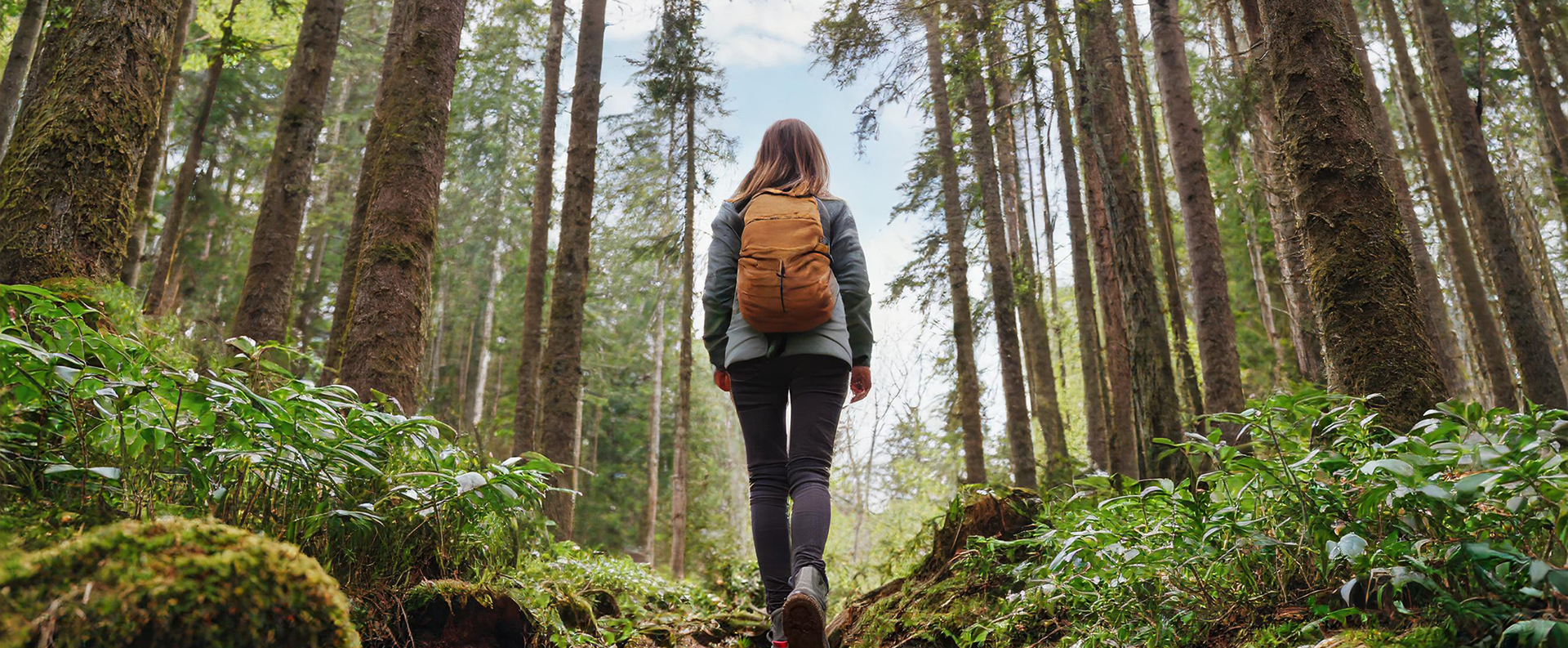 jemand der durch den Wald läuft mit Rucksack von hinten